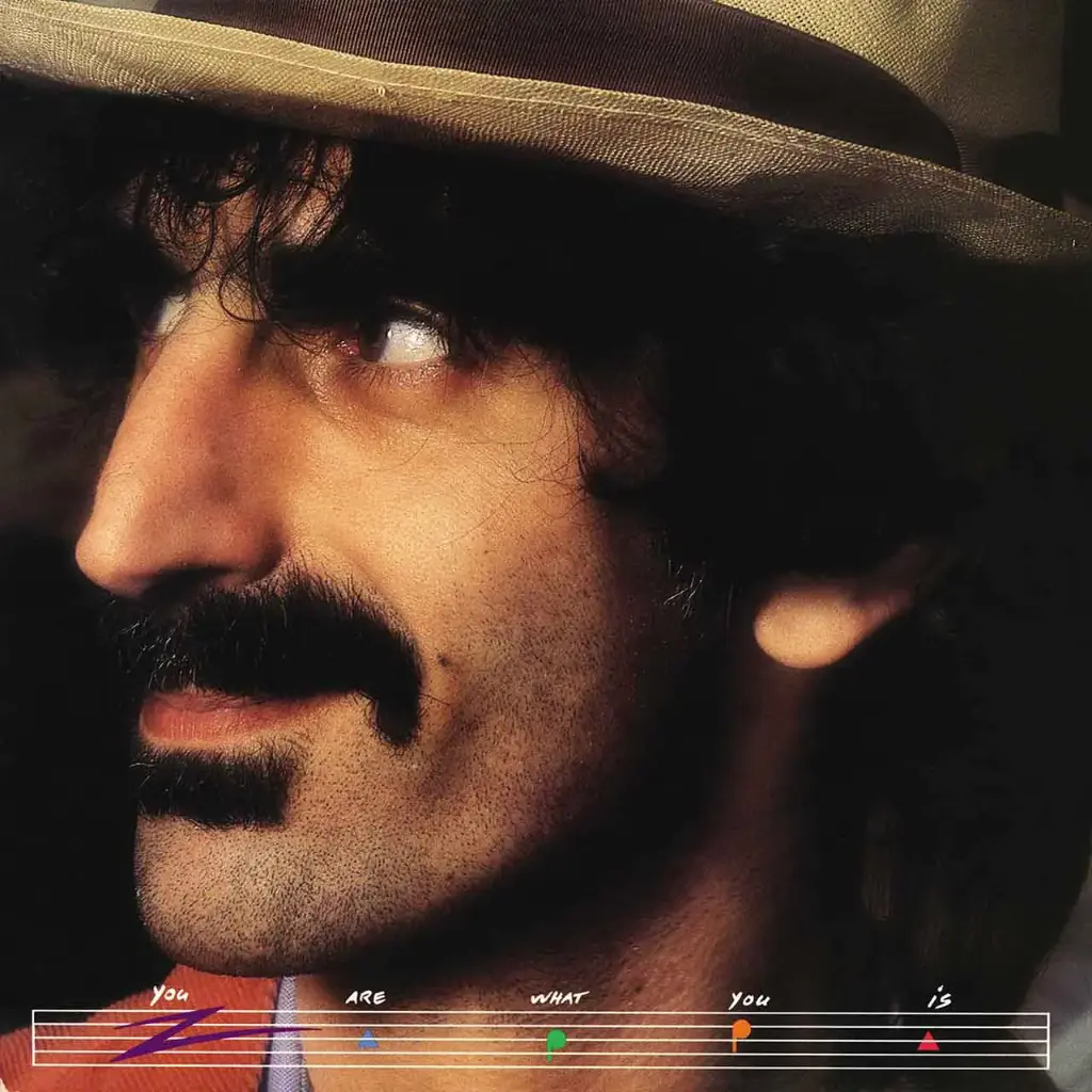 FRANK ZAPPA - YOU ARE WHAT YOU IS